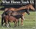 Book What Horses Teach Us 2008 Calendar