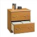 Sauder Orchard Hills 2 Drawer Wood Lateral File in Carolina Oak Finish