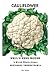 Art Poster, Cauliflower: Early Snowball - 20x30