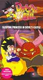 Sleeping Princess in Devil's Castle