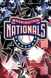 WASHINGTON NATIONALS TEAM LOGO POSTER 24