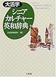 大活字 シニアカルチャー英和辞典 (Sanseido’s senior culture dictionary)