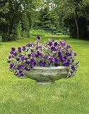 Achla PLNTR-01 Cast Aluminum Classic Urn with Handles - Verdigris