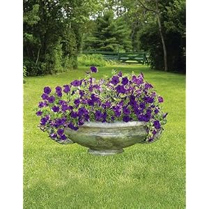 Classic Urn Planter by 