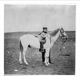 Historic Print (M): Lieutenant General Sir William J. Codrington K.C.B.
