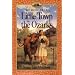 Great Series Books for Girls