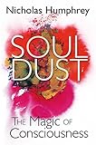 Soul Dust : The Magic of Consciousness