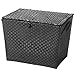 Whitmor Resin Weave Storage Chest