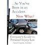 So You've Been in an Accident, Now What?: Everyone's Guide to Personal Injury Law
