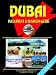 Dubai Investment and Business Guide