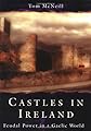 Castles in Ireland: Feudal Power in a Gaelic World