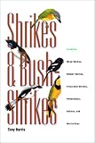 Shrikes and Bush-Shrikes