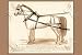Art Poster, Double Honest John Wagon Harness - 27.5 x 18.75