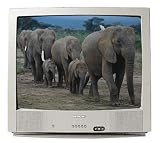 Sharp 25-C340 25" TV (Silver)
