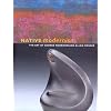 Native Modernism: The Art Of George Morrison And Allan Houser