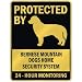 PROTECTED BY  BERNESE MOUNTAIN DOGS HOME SECURITY SYSTEM  PARKING SIGN DOG