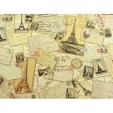 Punch Studio Bon Voyage Paris Gift Wrap - 2 sheets per roll, One