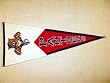 Florida Panthers - Classic NHL Hockey (Pennants)
