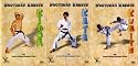 Shotokan Karate Knazawa 3 DVD Box set Kihon Kumite & Kata