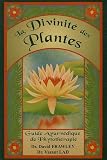 Livres Phytoth�rapie - La Divinit� des plantes : Guide Ayurv�dique de phytoth�rapie