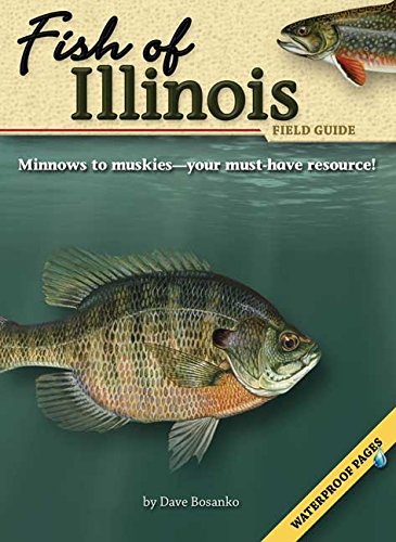 Fish of Illinois Field Guide (Fish Identification Guides)
