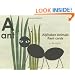 Alphabet Animals Flash Cards