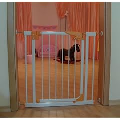 Schwenk T�rgitter