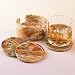 Smithsonian Banded Travertine Coasters