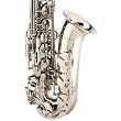 Cecilio Nickel Plated Alto Saxophone w/ Carrying Case and Accessories