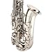 Cecilio Nickel Plated Alto Saxophone w/ Carrying Case and Accessories