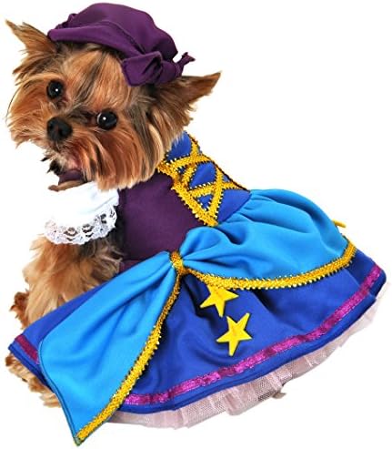 Anit Accessories AP1087-L Gypsy Princess Dog Costume
