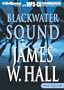 Black Water (Merci Rayborn Series)