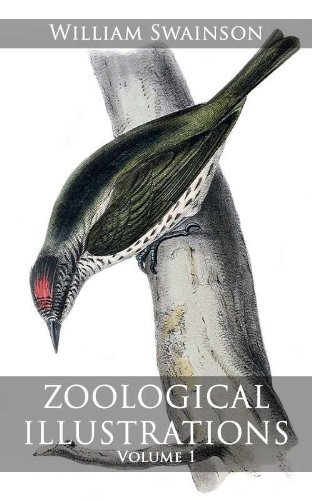 Zoological Illustrations
