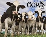 Cows 2011 Wall Calendar