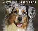 Australian Shepherds 2010 Calendar (Just)