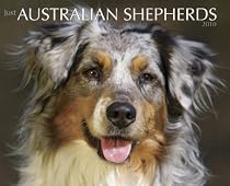 Australian Shepherds 2010 Calendar (Just)