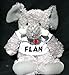 Plush Elephant (Slowpoke) toy with I Love Flan