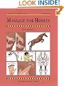 Massage for