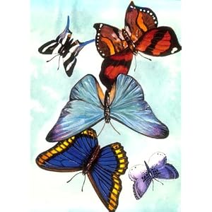 Butterfly Notebook by Sovak