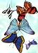 Butterfly Notebook