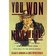 You Won--Now What?: How Americans Can Make Democracy Work from City Hall to the White House (Lisa Drew Books)