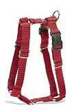 Pet Supplies : Premier Pet Sure Fit 3/8-Inch Petite Harness, Red