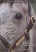 12 Miles to Paradise: A People Story About Horses & Horseracing