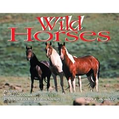 Wild Horses 2005 Calendar