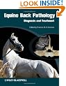 Equine Back Pathology: Diagnosis and Treatment