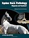 Equine Back Pathology: Diagnosis and Treatment