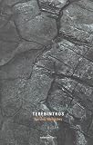 Terebinthos (Salmon Poetry)