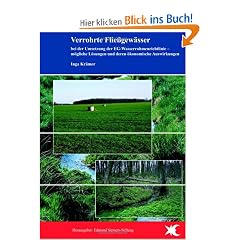 Verrohrte Flie�gew�sser bei der Umsetzung der EG-Wasserrahmenrichtlinie: m�gliche L�sungen und deren �konomische Auswirkungen im Peeneeinzugsgebiet