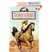 Cindy's Desert Adventure (Thoroughbred Series #47)