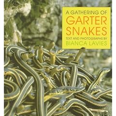 A Gathering of Garter Snakes